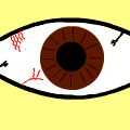 eye