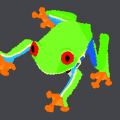 red eyed treefrog