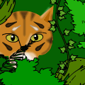 TotD: ZOO