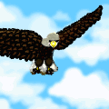 Eagle