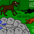 It's A Dog'z World