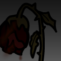 Roses of blood