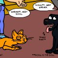 Feline VS K9