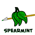 Spearmint