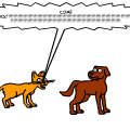 dog and cat two