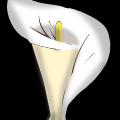 TotD: Bloom