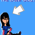user quiz