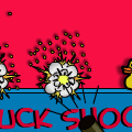 TotD: Ducks