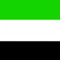 dubaian flag