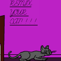 my cat!!