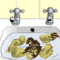 {Ducks in a "Pond"}