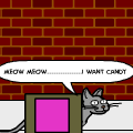 nyan cat