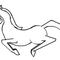 Horse Line Draw