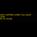 When you leave your pets 