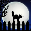 TotD: Strays