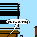 53