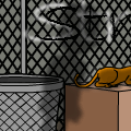 Stray