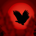 'In Flight'