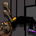 Free Falling