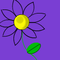Daisy(Flower)