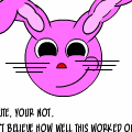 Bunny Says...