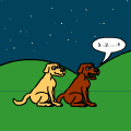 Girls by day, dogs by night