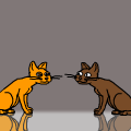 Whiskey & Coco