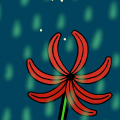 Flores Flores