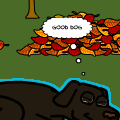 Good Dog