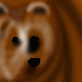 Bear.