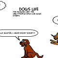 dogs life