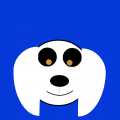 a cute dog's face