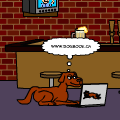 Dogs and Cats (FINISHED)