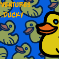 The Adventures Of Mr.Ducky