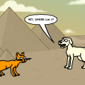Cat and Dog