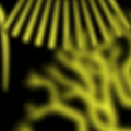 xperiments
