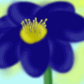 Flower.