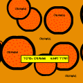 TotD: Orange