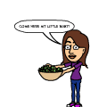 The Salad Cycle of Life