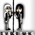 INVERSE TWINS