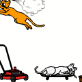 PETZ