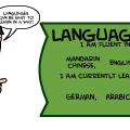 Language Remix