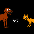 cats vs dog 