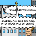 the poor chicken