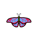 butterfly remix