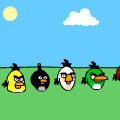 New Birds