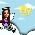 Fly