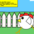 Factory farm chicken