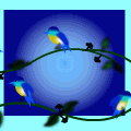 'Blue birds'