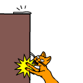 suicide cats!